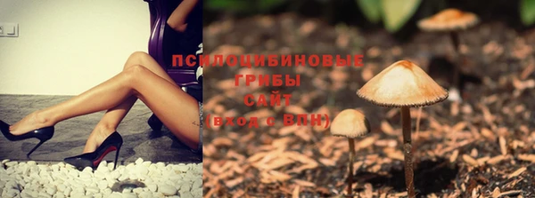 стафф Бугульма