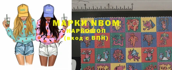 Альфа ПВП Бородино